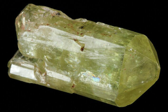 Lustrous Yellow Apatite Crystal - Morocco #82593